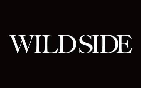 [191127]TVアニメ『BEASTARS』OPテーマ「Wild Side」／ALI[320K]