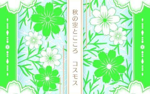 [211214]『Tokyo 7th シスターズ』七花少女 New Single「秋の空とこころ コスモス」[320K]